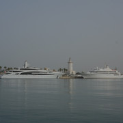 DSCF8901