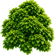 image (1) (1) (1) (1) (1)