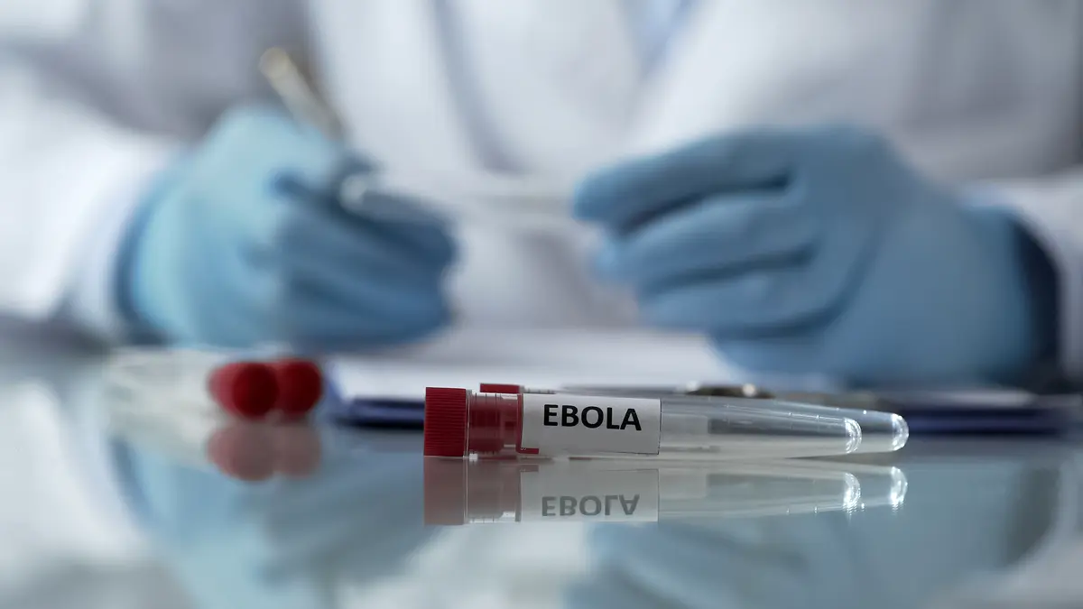 OMS declară focarul de Ebola din Africa urgență de sănătate globală