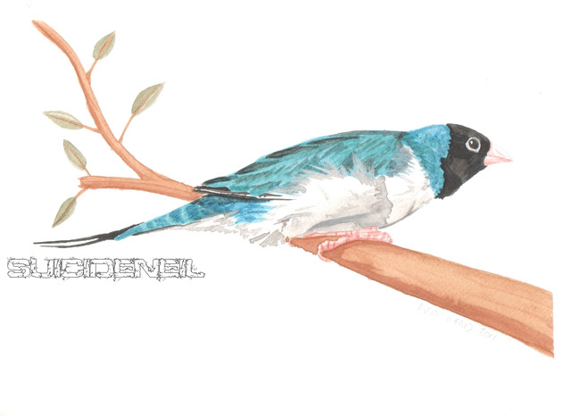 Painting17