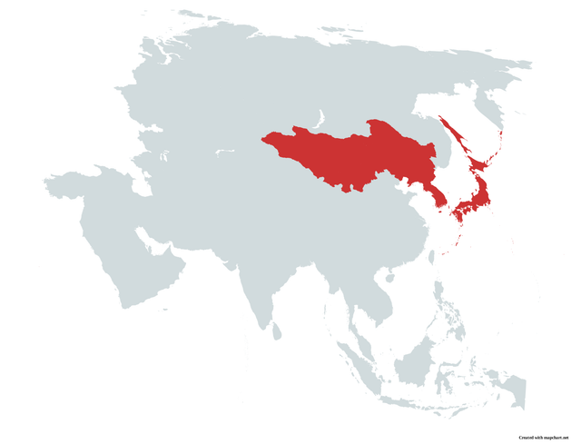 Map-Chart-Map-36