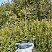 IMG-3358