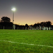 DSC08991