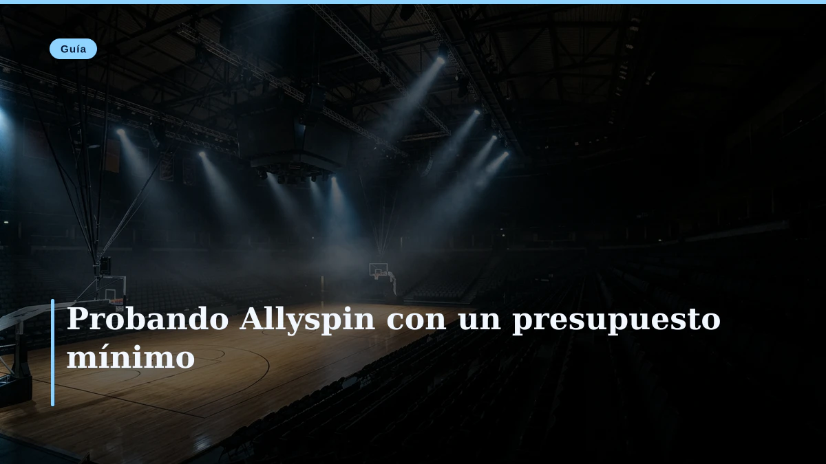 Probando Allyspin con un presupuesto mínimo