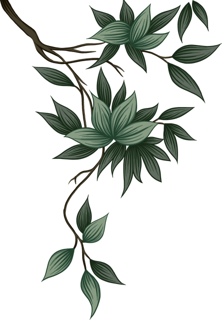 153b38b892e02cbc65d00ef97f8a0694.png