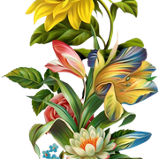 rasel07 78ecd896bc.png