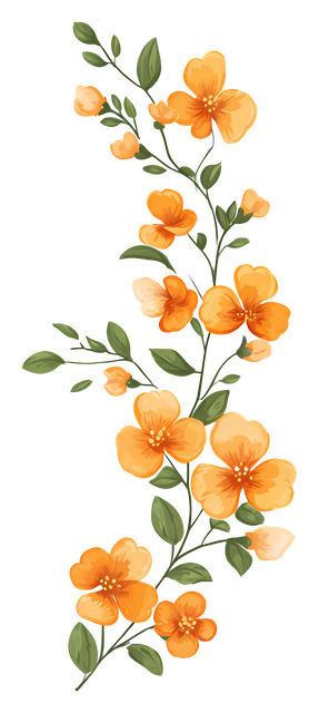 31acfa3c9476aebc13b6a5becf42b289.png