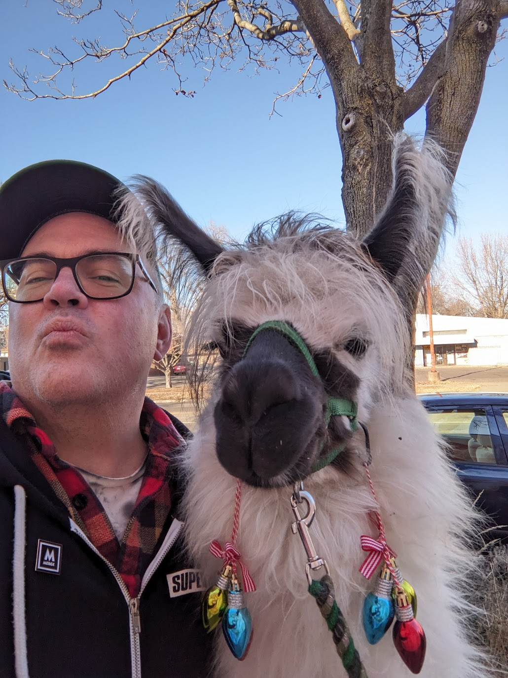 perfllama.jpg