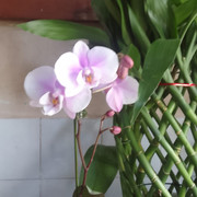 IMG-20240911-WA0002