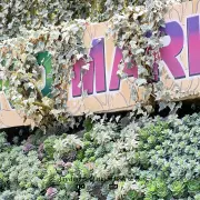 Agro Market4