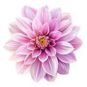 f9a6cd32b87958701ecdf19e9e97f773