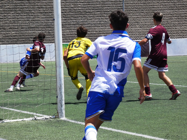 P1010143 resultado.jpg