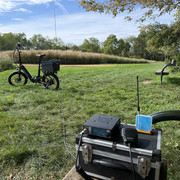 IMG 4544