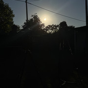 IMG 8534 2