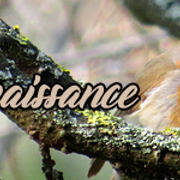 renaissance-31