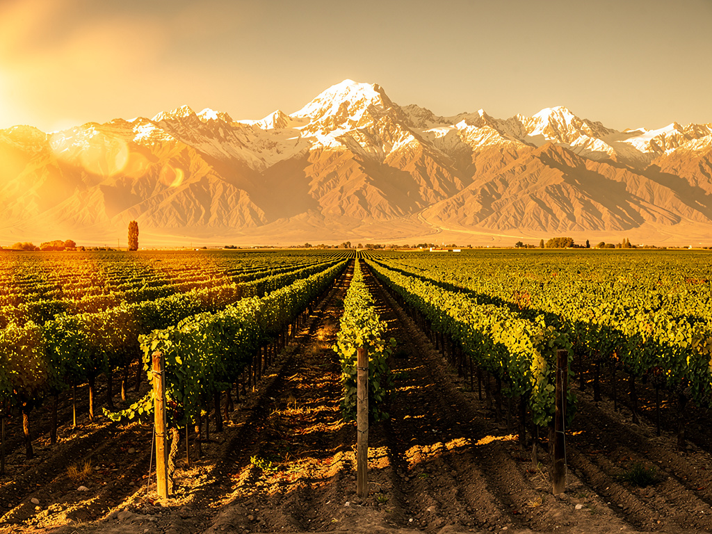 Mendoza — Além de um Malbec