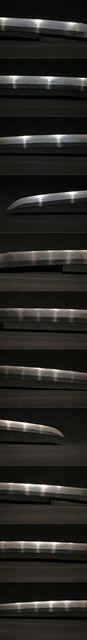 DSC4228.jpg