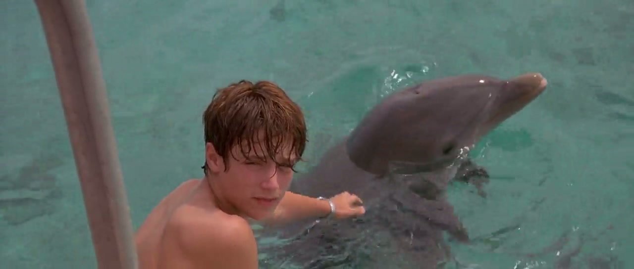 Flipper Screenshot