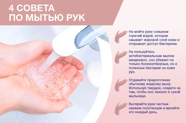 https://i.ibb.co/vCmqwPSx/IMG-2181.jpg