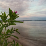 IMG-0432