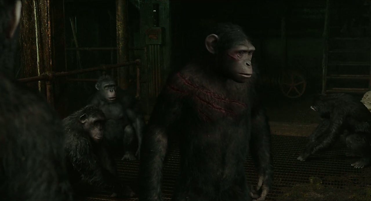Dawn of the Planet of the Apes Screenshot
