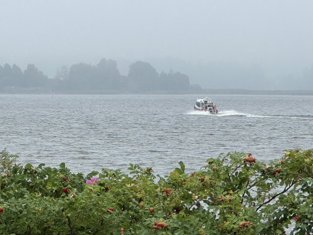 IMG 4382.jpg