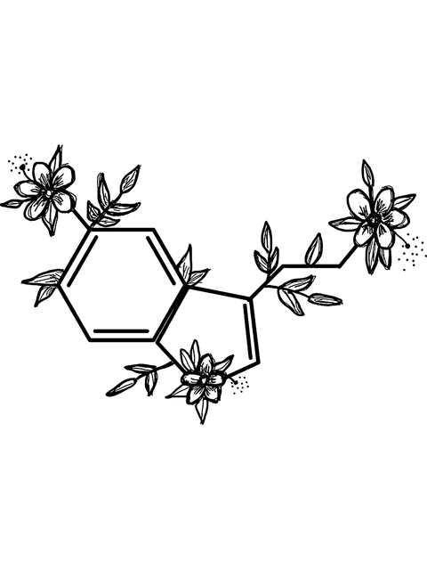 01aeb7dce34458d5f047606c7f0346c4.png