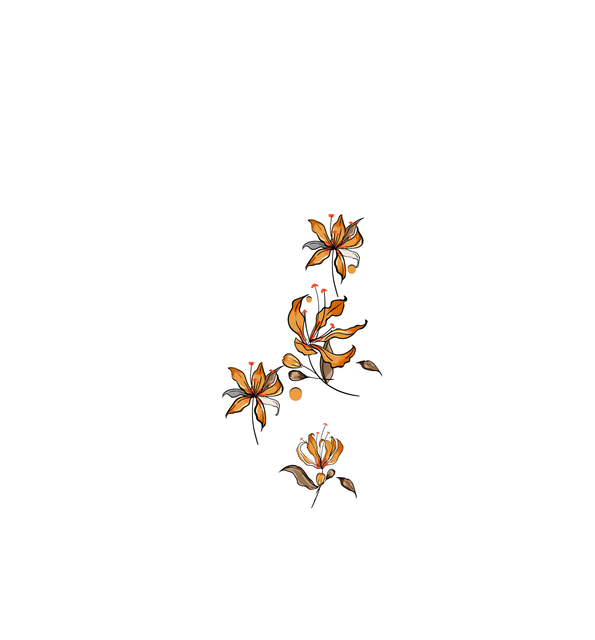Untitled 1 copy.png