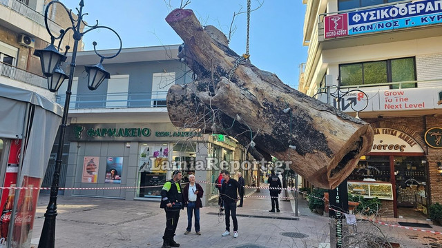 Δεντρο πλατεια Λαου028.jpg