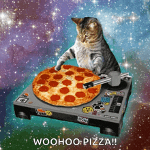 cat dj.gif