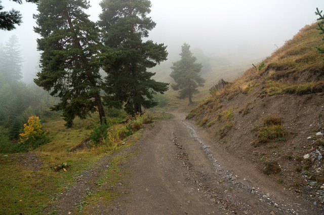 DSC00743.jpg