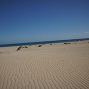 DSC01196