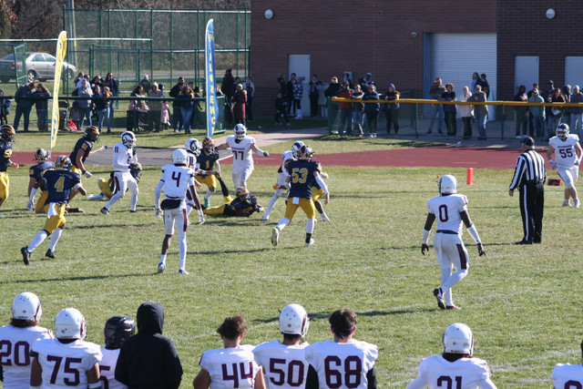 IMG-2934.jpg