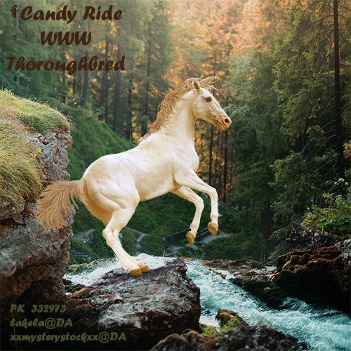Candy-Ride-number-two-1 hosted at ImgBB — ImgBB