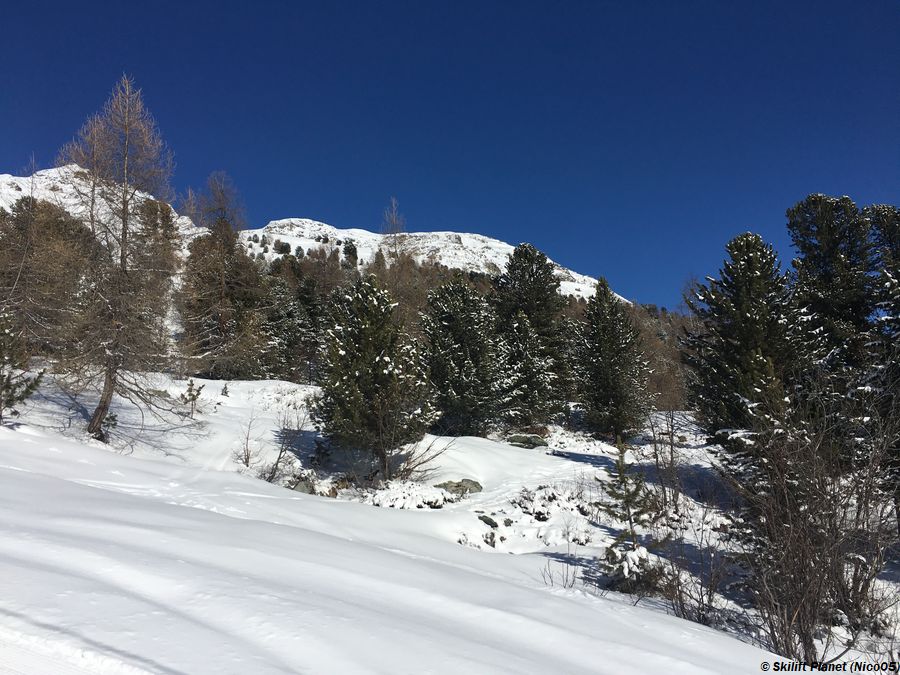 IMG-9240.jpg