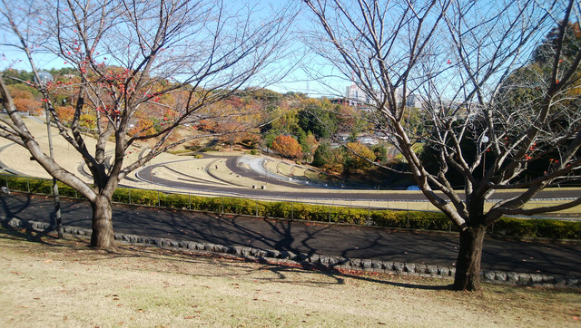 IMG-20221124-094237