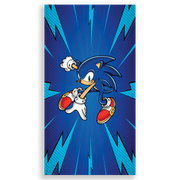303991-Sonic