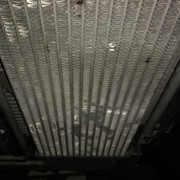 IMG-2564.jpg