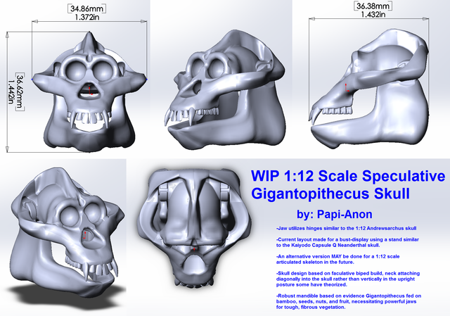 Gigantopithecus Skull Preview 1