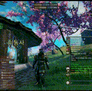 10.gif