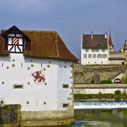 IMG-4365