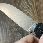 https://i.ibb.co/vH3HBSD/IMG-3538.jpg