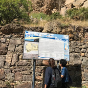 IMG-1009