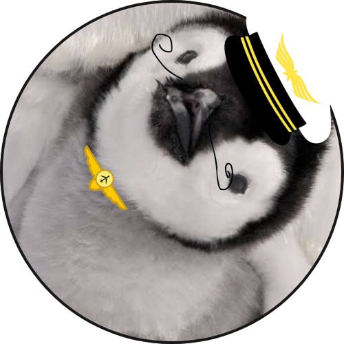 NEURAPENG token logo