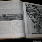IMG-7107
