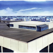 07