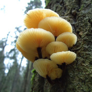 DSC00358