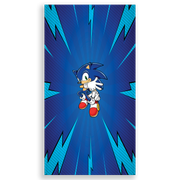 303989-Sonic