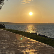 IMG-2548