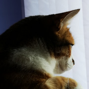 IMG-20220112-104752
